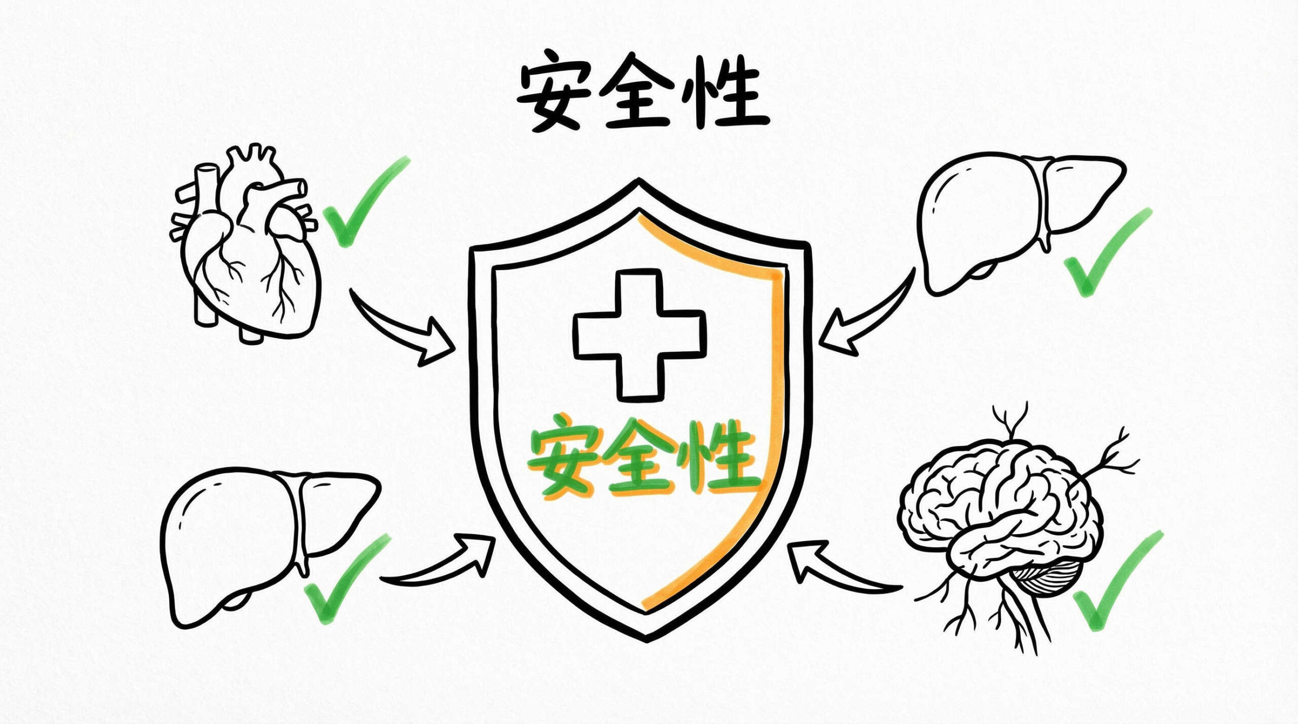 創薬プロセスにおける具体的な活用領域：安全性薬理・毒性評価